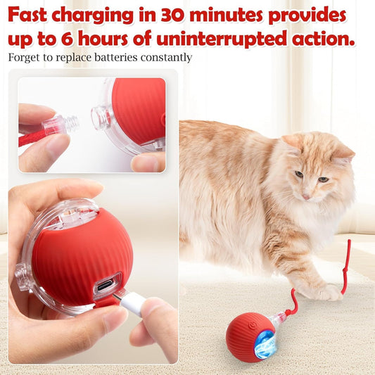 Interactive Electric Automatic Rolling Moving USB Rechargeable Self Activated Play Stimulation Toy Smart Chase Teaser Ball with Rope for Bored Adult Indoor Kitten & Cat and Puppy & Dog, Red