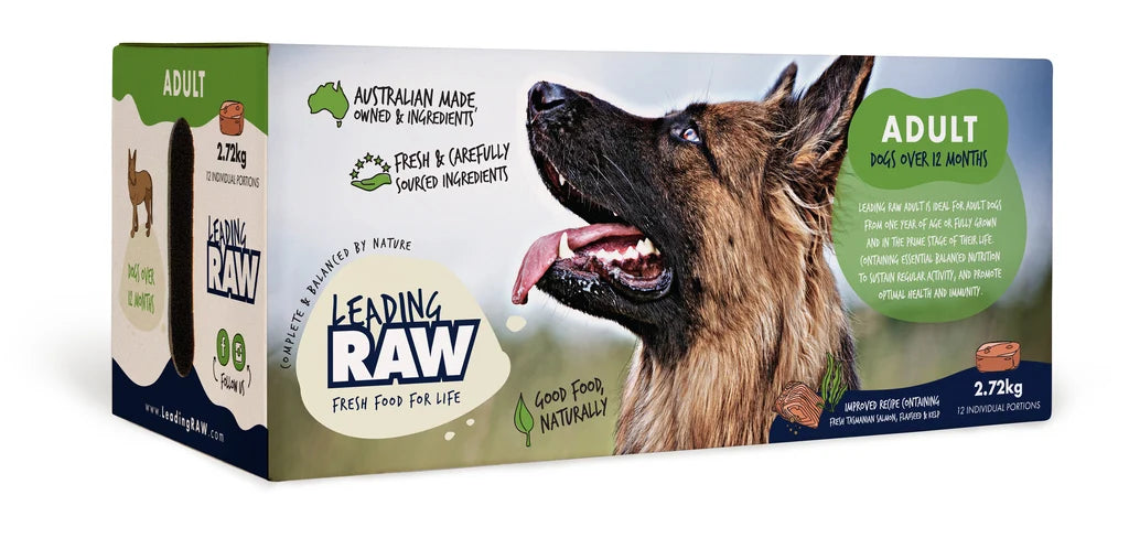 Leading Raw for Adult Dogs