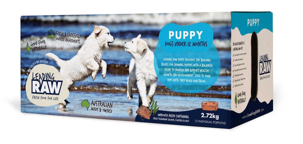 Leading Raw for Puppy