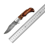 Best Selling Custom Handmade Top Quality Damascus Steel Hunting Knives Pocket Knife Folding Knives (Folding Knife-35)