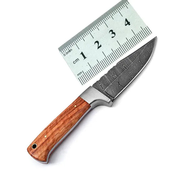 Beautiful Damascus Steel Skinning Knife with Custom Design Free Camping Knife with Wood Handle Christmas Gift (Skinner Knife-6)