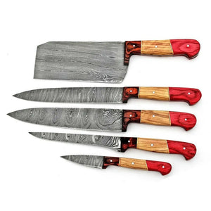 High Quality Damascus Steel Kitchen Knife Chef Set Professional Kitchen Knife With Protected Cover (Chef Knife-51)