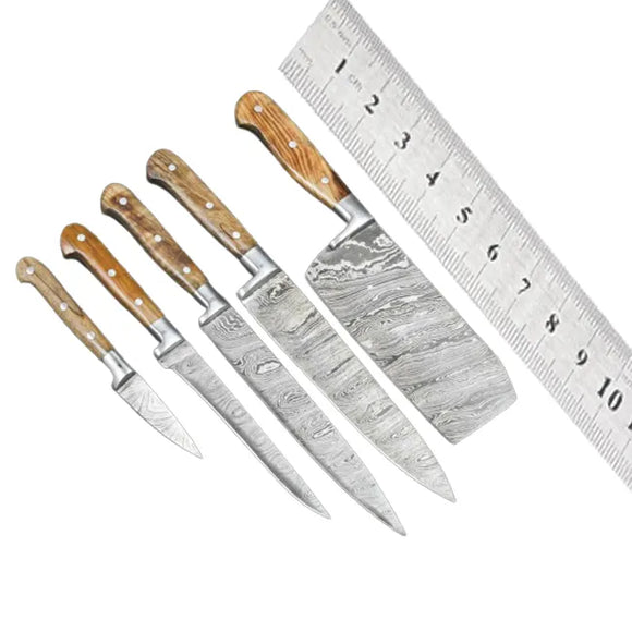 Professional Chef Knife Set 5-Piece Kitchen Tool with Damascus Steel Blade Stainless Steel Wood Handle Leather Roll Bag Cutting (Chef Knife-74)