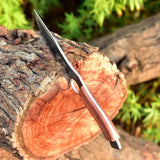 Handmade Carbon Steel Hunting Tracker Fixed Blade Knives Perfect Grip Wood Handle Free Leather Sheath Camping, Outdoor Knife (Tracker Knife-1)