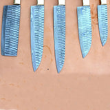 Handmade Custom Damascus Steel 5-Pcs Chef Kitchen Knife Set Includes 6pcs Stainless Steel Blades Pure Leather Sheath Cutting (Chef Knife-58)