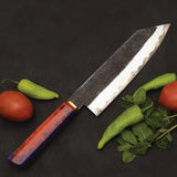 Handmade Custom 8-inch Damascus Blade Kitchen Chef Knife with Powder Coating Leather Sheath High Carbon Steel Home Cooking Knife (Chef Knife-113)