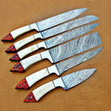 Custom Handmade Damascus Steel Chef Knife Set High Quality Kitchen Knife with Pure Leather Sheath for Dining (Chef Knife-25)