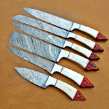 Custom Handmade Damascus Steel Chef Knife Set High Quality Kitchen Knife with Pure Leather Sheath for Dining (Chef Knife-25)