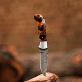 High Quality 3.75" Spanish Brown Wood Handle Pocket Knife Folding Knives Blade Length 1.18 cm and Handle Length 1.47 cm (Folding Knife-22)