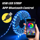 Bluetooth Controllable12v Flexible 5050 Light Strip