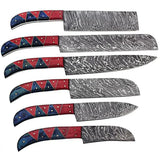 Custom Handmade Damascus 6 Pcs Chef Knife Set and Kitchen Knife Set with Pure Leather Sheath (Chef Knife-54)