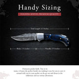 Handmade Folding Knife Small Pocket Knives for Camping, Hiking Back Lock Blade Damascus Steel (Folding Knife-33)