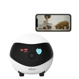 Pet dog and cat companion mobile intelligent remote monitoring robot