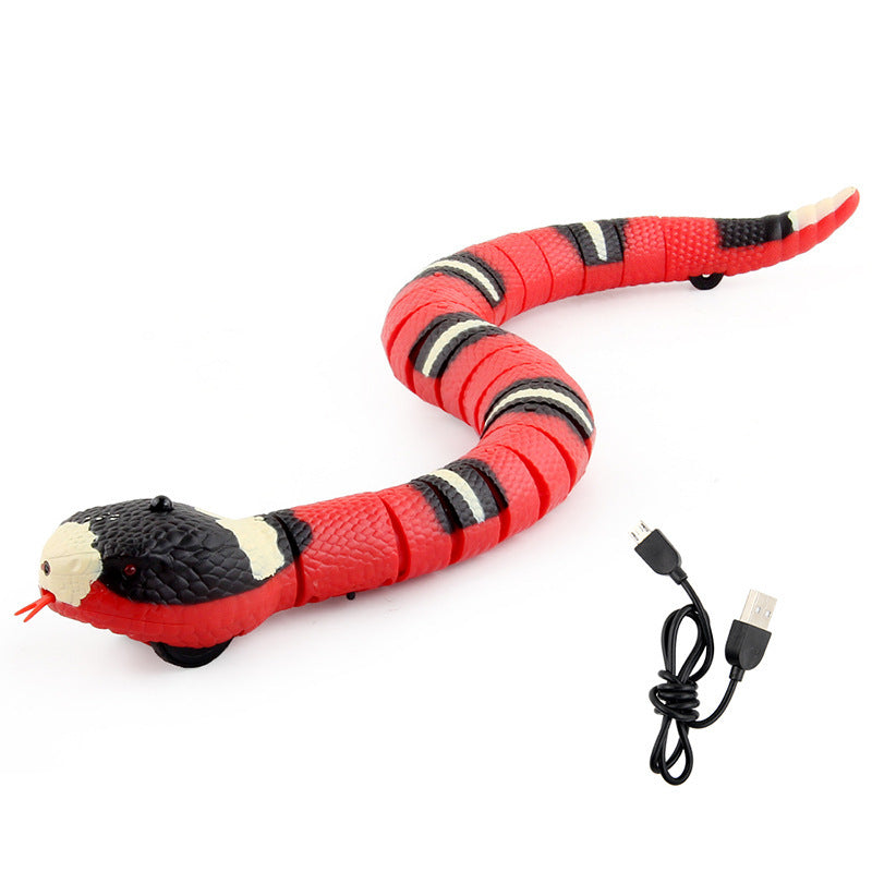 Spot Tricky Toy Snake Teasing Cat Teasing Dog Children Interactive Automatic Sleep Walking Electric Induction Snake