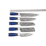 Handmade High Quality Damascus Steel Chef Knife Set Custom Logo Stainless Steel Blade Wood Handle Kitchen Dining Knives Metal (Chef Knife-68)