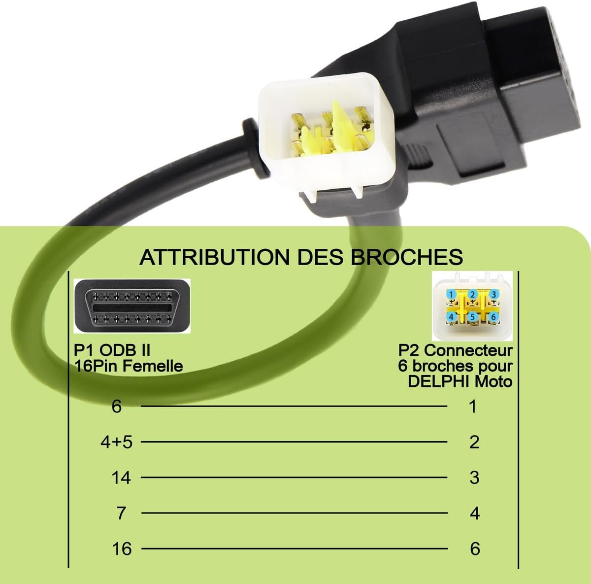 Delphi Motorcycle OBDII 6 Pin to 16 Pin OBD2 Diagnostic Adapter Compatible with Motorcycle