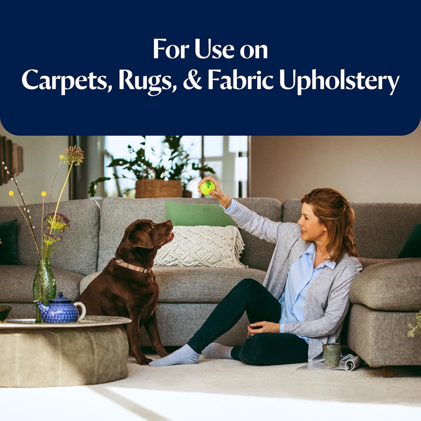 BISSELL Pet Stain Pretreat Spray for Carpet & Upholstery, 650ml
