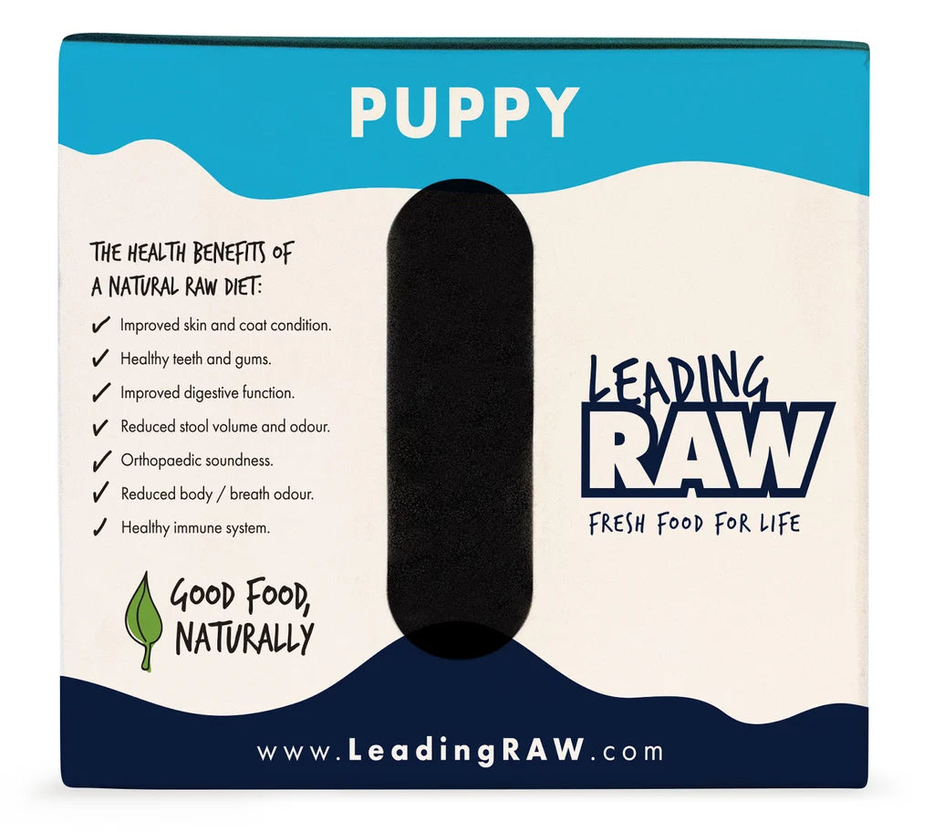 Leading Raw for Puppy