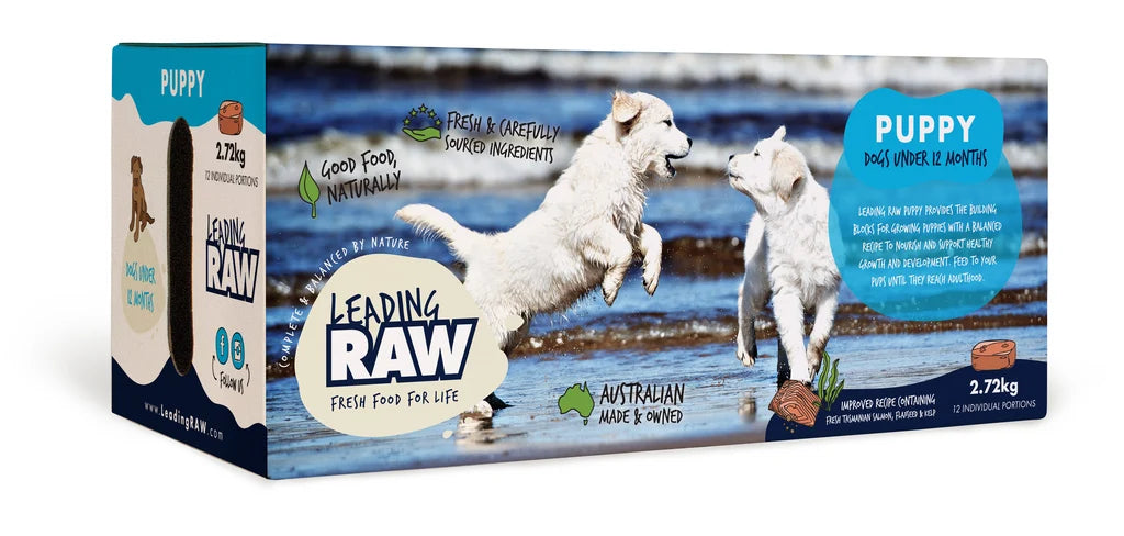 Leading Raw for Puppy