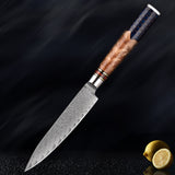 Damascus Steel Chef Knife Suit Blue Resin Honeycomb Round Handle Kitchen Knife Vegetable Cutter Cutter Household Cutter