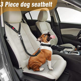 Pet Car Seat Belt Traction Rope Cross-border Hot Picking Dog Rope Retractable Large Dog Ring Buckle Dog Chain Nylon