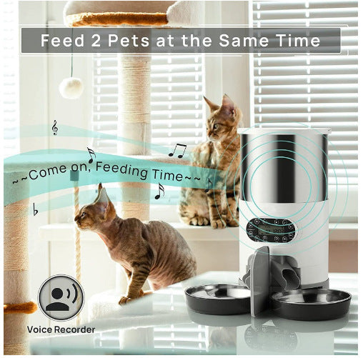 New Stainless Steel Feeder Double Feeding Feeder Stainless Steel Feeder