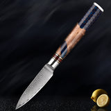 Damascus Steel Chef Knife Suit Blue Resin Honeycomb Round Handle Kitchen Knife Vegetable Cutter Cutter Household Cutter